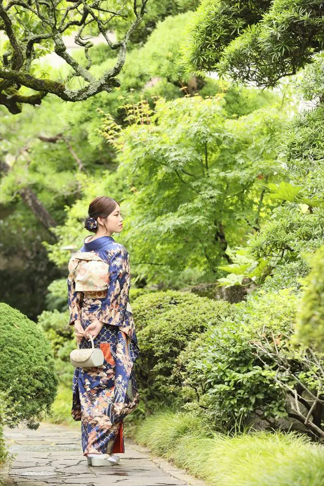 青　松　古典柄