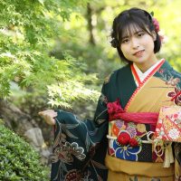 からし色、緑