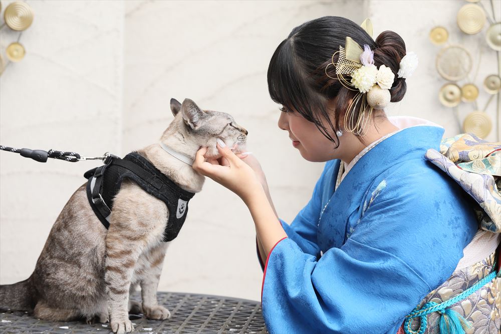 青　ママ振　辻が花